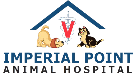 Imperial Point Animal Hospital of Delray - Animal Hospital in Delray Beach,  FL
