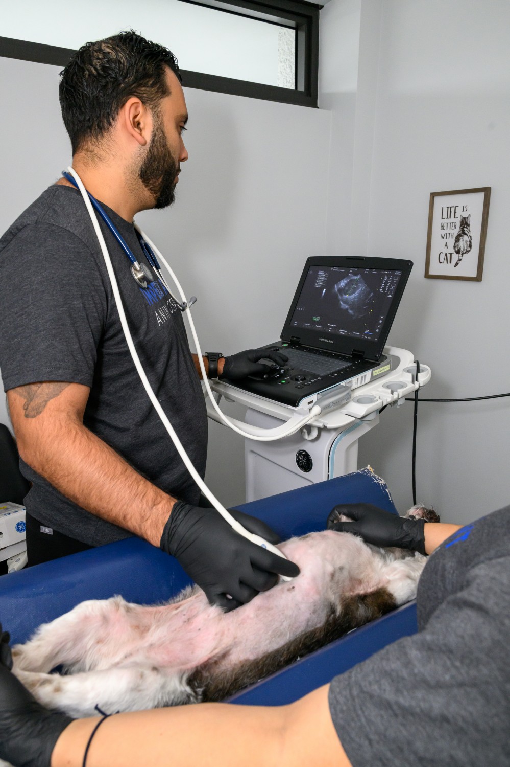 Ultrasound services